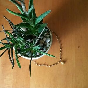 Silpada Copper Freshwater Pearl Necklace